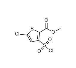 aladdin 阿拉丁 M586879 5-氯-3-(氯磺酰基)噻吩-2-甲酸甲酯 126910-68-7 95%