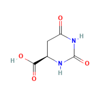 aladdin 阿拉丁 D338632 D-氢化乳清酸 5988-53-4 98%