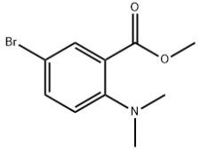aladdin 阿拉丁 M586418 5-溴-2-(二甲基氨基)苯甲酸甲酯 1131587-63-7 95%