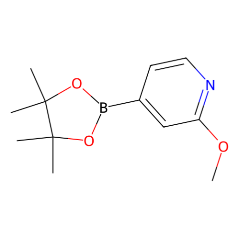 aladdin 阿拉丁 M193293 2-甲氧基吡啶-4-戊酰硼酸 408502-23-8 97%