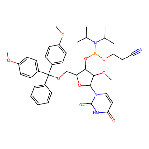 aladdin 阿拉丁 R586372 DMT-2'-O-甲基-rU亚磷酰胺 110764-79-9 95%