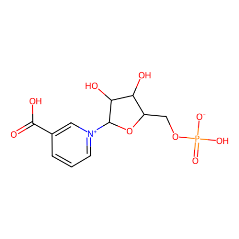 aladdin 阿拉丁 N487022 烟酸单核苷酸 321-02-8 95%