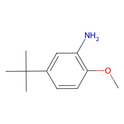 aladdin 阿拉丁 I169850 5-叔丁基-邻茴香胺 3535-88-4 97%