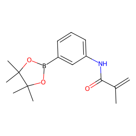 aladdin 阿拉丁 N586264 N-(3-(4,4,5,5-四甲基-1,3,2-二氧硼杂环戊烷-2-基)苯基)甲基丙烯酰胺 1056904-42-7 98%