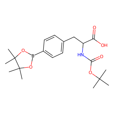 aladdin 阿拉丁 S588146 Boc-4-频哪醇硼酸酯-L-苯丙氨酸 216439-76-8 98%