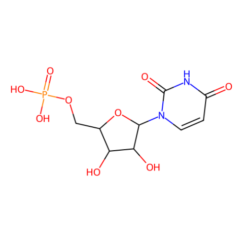 aladdin 阿拉丁 U171107 5'-尿苷酸 58-97-9 98%