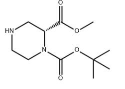 aladdin 阿拉丁 T588423 (R)-1-N-Boc-哌嗪-2-甲酸甲酯 252990-05-9 97%