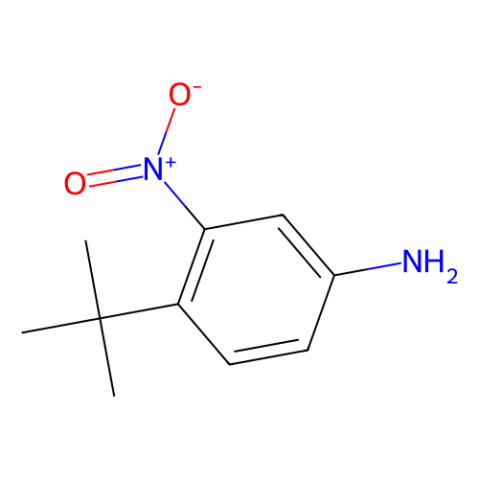 aladdin 阿拉丁 N419081 3-硝基-4-叔丁基苯胺 31951-12-9 98%