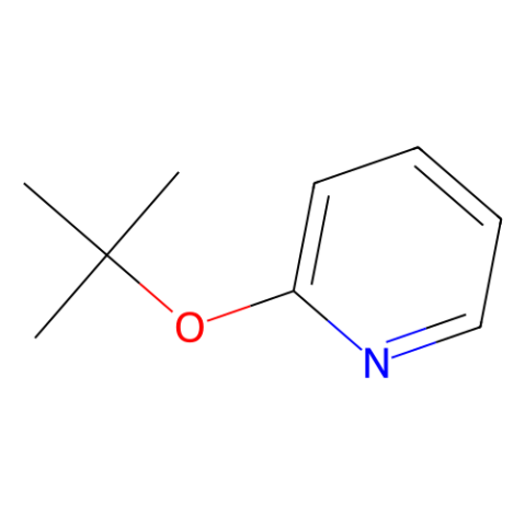aladdin 阿拉丁 T195236 2-(叔丁氧基)吡啶 83766-88-5 95%