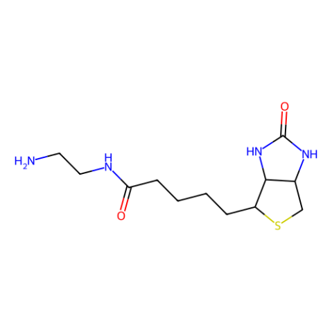 aladdin 阿拉丁 N179437 N-(2-氨基乙基)生物素酰胺 111790-37-5 98%