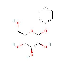 aladdin 阿拉丁 P160199 苯基-α-D-吡喃葡萄糖苷 4630-62-0 97%