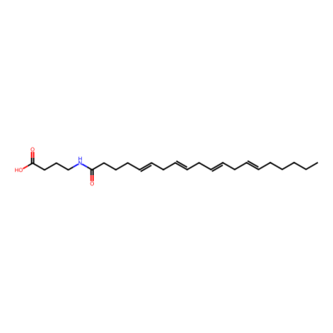 aladdin 阿拉丁 N287644 N-ArachidonylGABA 128201-89-8 ≥98%(HPLC)