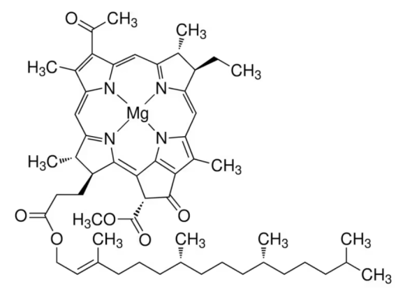 aladdin 阿拉丁 B353811 菌叶绿素 来源于球形红假单胞菌 17499-98-8 95%