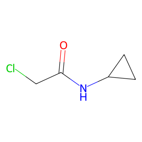 aladdin 阿拉丁 C587871 2-氯-N-环丙基乙酰胺 19047-31-5 95%