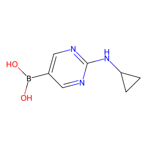aladdin 阿拉丁 C586968 (2-(环丙基氨基)嘧啶-5-基)硼酸(含不同量的酸酐) 1312942-14-5 98%