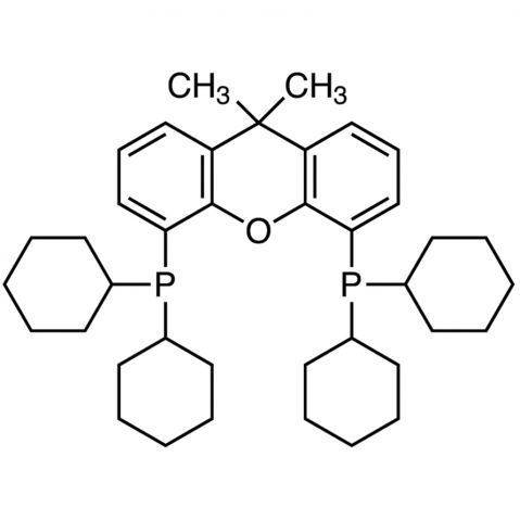 aladdin 阿拉丁 B195963 4,5-双(二环己基膦)-二苯并吡喃衍生物 940934-47-4 98%