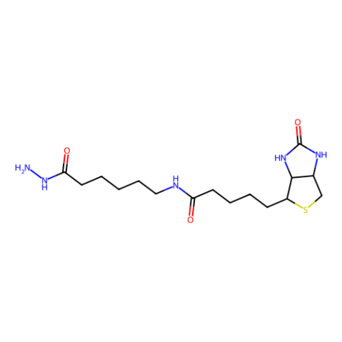 aladdin 阿拉丁 B293846 (+)-生物素酰胺基己酸肼 109276-34-8 93%