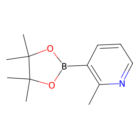 aladdin 阿拉丁 M171649 2-甲基-3-(四甲基-1,3,2-二氧杂硼烷-2-基)吡啶 1012084-56-8 97%