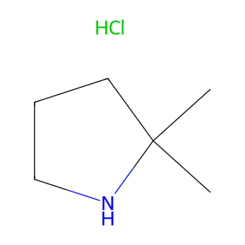aladdin 阿拉丁 D176967 2,2-二甲基吡咯烷盐酸盐 623580-01-8 97%