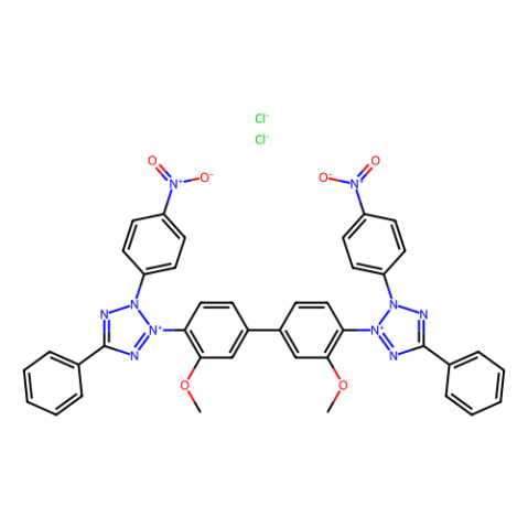 aladdin 阿拉丁 N104908 氯化硝基四氮唑蓝(NBT) 298-83-9 98%