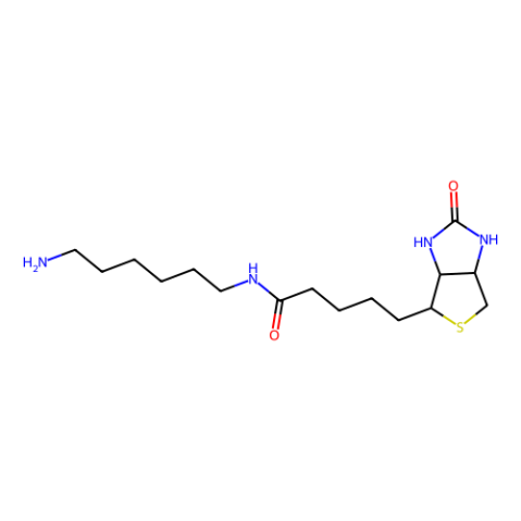 aladdin 阿拉丁 N304307 N-生物素基-1,6-己二胺 65953-56-2 95%