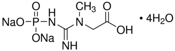 aladdin 阿拉丁 C104990 磷酸肌酸钠,四水 71519-72-7 98%