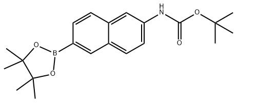 aladdin 阿拉丁 T586965 (6-(4,4,5,5-四甲基-1,3,2-二氧硼杂环戊烷-2-基)萘-2-基)氨基甲酸叔丁酯 1312611-41-8 97%