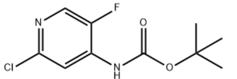 aladdin 阿拉丁 T587058 (2-氯-5-氟吡啶-4-基)氨基甲酸叔丁酯 1354223-67-8 97%