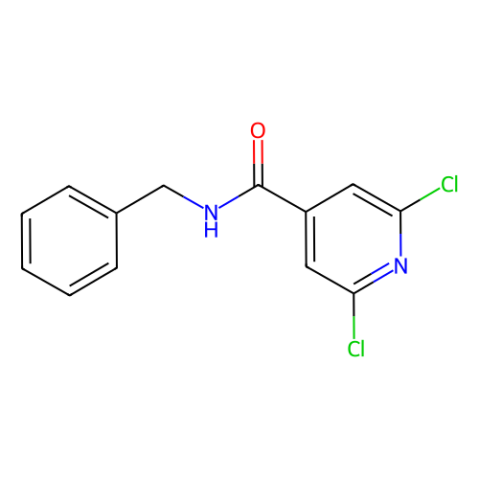 aladdin 阿拉丁 N191699 N4-苄基-2,6-二氯异烟酰胺 182224-71-1 97%