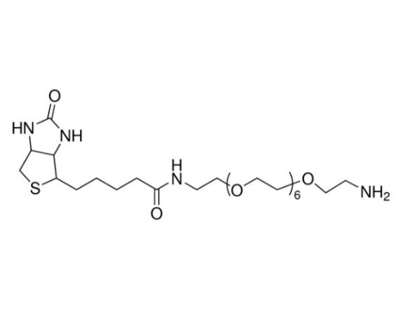 aladdin 阿拉丁 B486631 Biotin-PEG7-NH2 1334172-76-7 95%