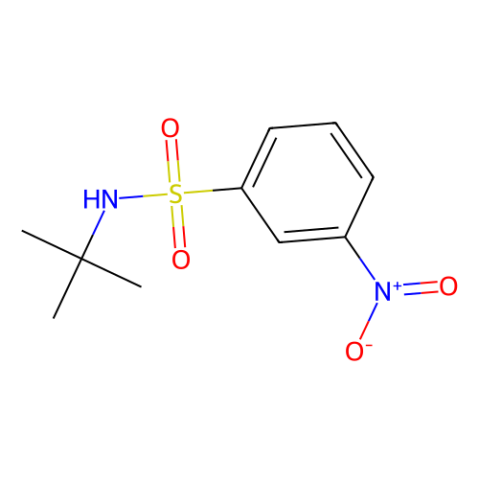 aladdin 阿拉丁 N184474 N-叔丁基-3-硝基苯磺酰胺 424818-25-7 98%