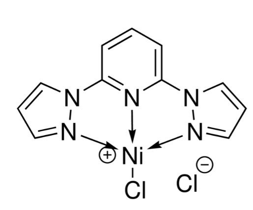 aladdin 阿拉丁 B463998 2,6-双(N-吡唑基)吡啶二氯化镍(II) 2304667-33-0 ≥95% anhydrous basis