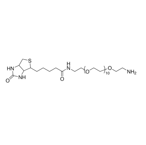 aladdin 阿拉丁 B487171 生物素-PEG??-氨基 604786-74-5 95%