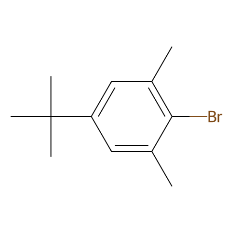 aladdin 阿拉丁 B404126 2-溴-5-叔丁基-1,3-二甲苯 5345-05-1 98.0%