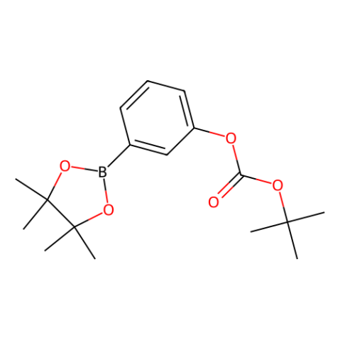 aladdin 阿拉丁 I170545 3-(叔丁氧羰氧基)苯硼酸频哪醇酯 480438-74-2 97%