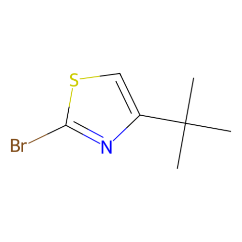 aladdin 阿拉丁 B469794 2-溴-4-叔-丁基噻唑 873075-54-8 97%