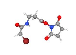 aladdin 阿拉丁 S487952 3-(溴乙酰胺基)琥珀酰亚胺基丙酸酯 57159-62-3 95%