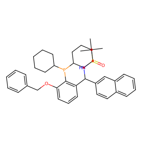 aladdin 阿拉丁 S398853 [S(R)]-N-[(S)-[3-苄氧基-2-(二环己基膦)苯基]-(2-萘基)甲基]-2-叔丁基亚磺酰胺 2565792-69-8 ≥95%