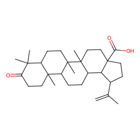 aladdin 阿拉丁 B303737 白桦脂酮酸 4481-62-3 97%