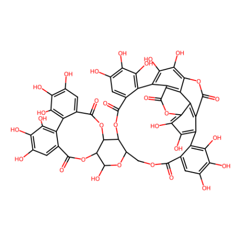 aladdin 阿拉丁 P117962 安石榴苷（异构体混合物） 65995-63-3 98%