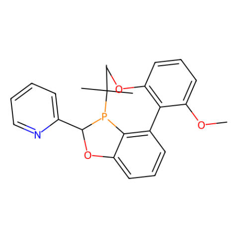 aladdin 阿拉丁 R409298 2-((2R,3R)-3-(叔丁基)-4-(2,6-二甲氧基苯基)-2,3-二氢苯并[d][1,3]氧膦杂环-2-基)吡啶 1542796-11-1 97%，99% ee