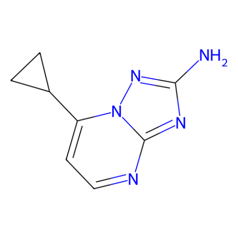 aladdin 阿拉丁 C335996 7-环丙基[1,2,4]三唑[1,5-a]嘧啶-2-胺 885949-41-7 95%