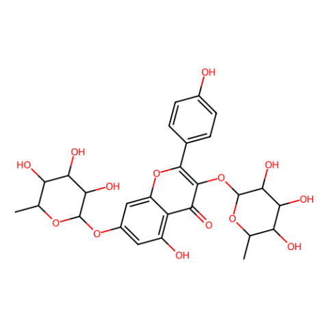 aladdin 阿拉丁 K170556 山奈苷 482-38-2 97% (NMR)