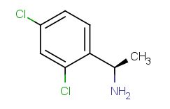 aladdin 阿拉丁 R587009 (R)- 1-(2,4-二氯苯基)乙胺 133773-29-2 95%