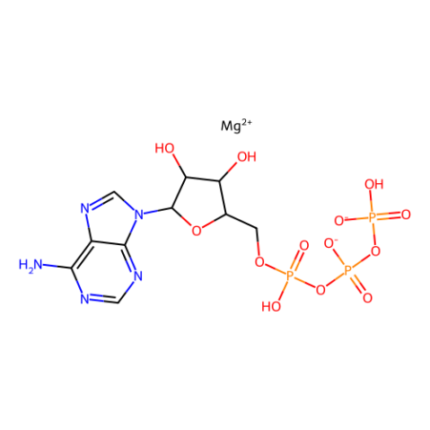 aladdin 阿拉丁 A463997 腺苷 5'-三磷酸镁盐 74804-12-9 ≥95%,细菌性