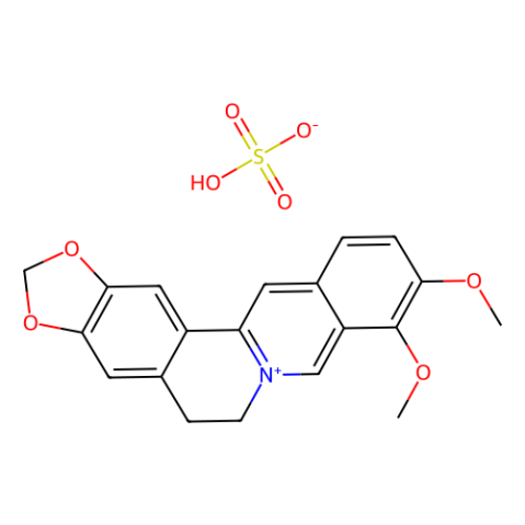 aladdin 阿拉丁 B304222 硫酸小檗碱水合物 633-66-9 ≥98%(HPLC)