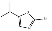 aladdin 阿拉丁 B586458 2-溴-5-异丙基噻唑 1159817-16-9 97%