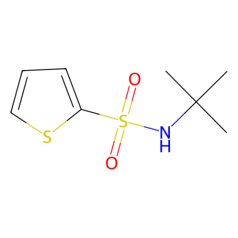 aladdin 阿拉丁 N159674 N-叔丁基-2-噻吩磺酰胺 100342-30-1 98%