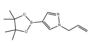 aladdin 阿拉丁 A586078 1-烯丙基-4-(4,4,5,5-四甲基-1,3,2-二氧硼杂环戊烷-2-基)-1H-吡唑 1000801-78-4 97%