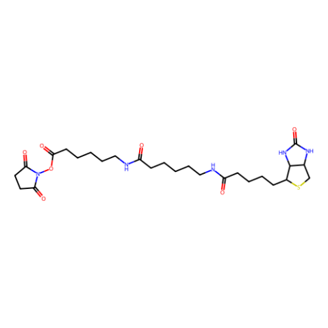 aladdin 阿拉丁 B419512 N-[6-(生物素氨基)己酰基]-6-氨基己酸N-琥珀酰亚胺酯 89889-52-1 95%